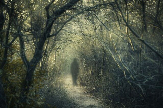 Setealém: dimensão paralela surgida no Brasil é ficção ou realidade?