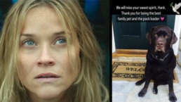 Reese Witherspoon lamenta morte do cachorro da família