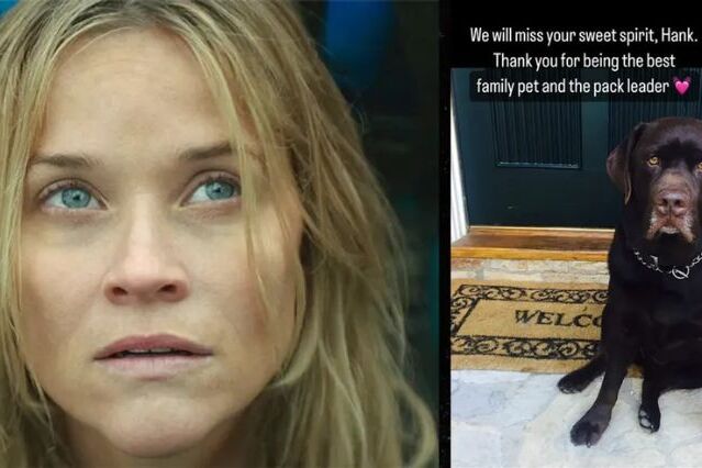 Reese Witherspoon lamenta morte do cachorro da família