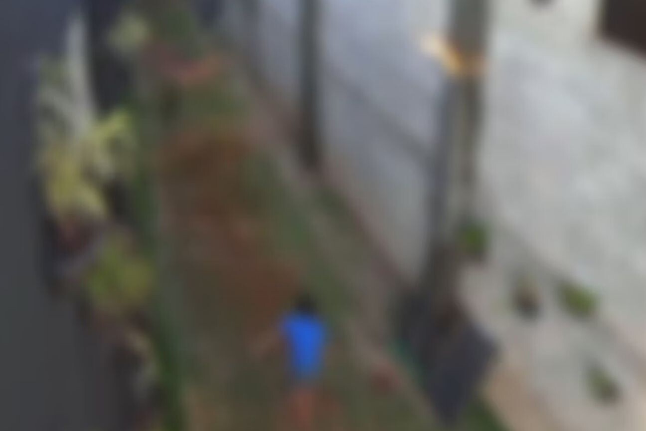 Massacre de animais cometidos por garoto de 9 anos não será punido