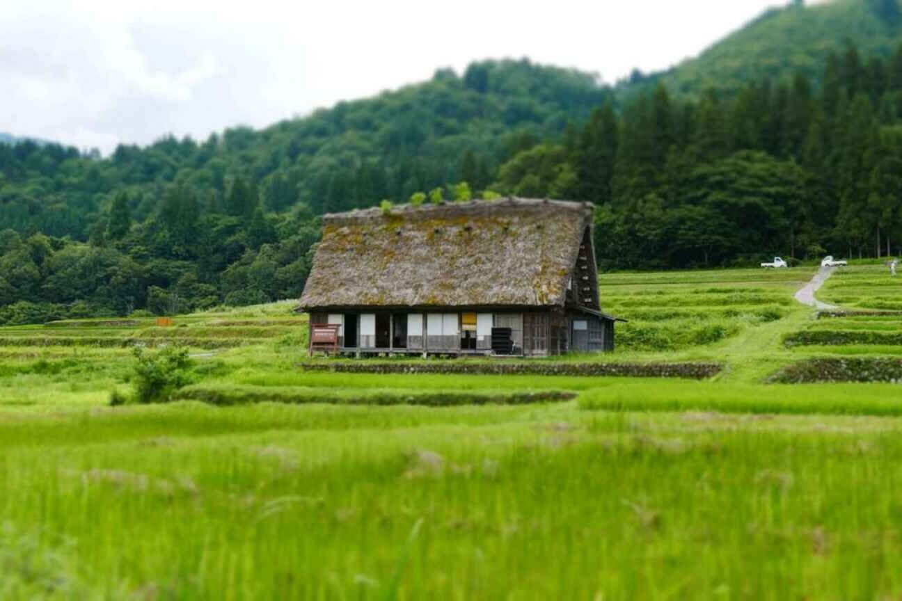 Akiyas: o fenômeno das casas abandonadas no Japão e os desafios para investidores