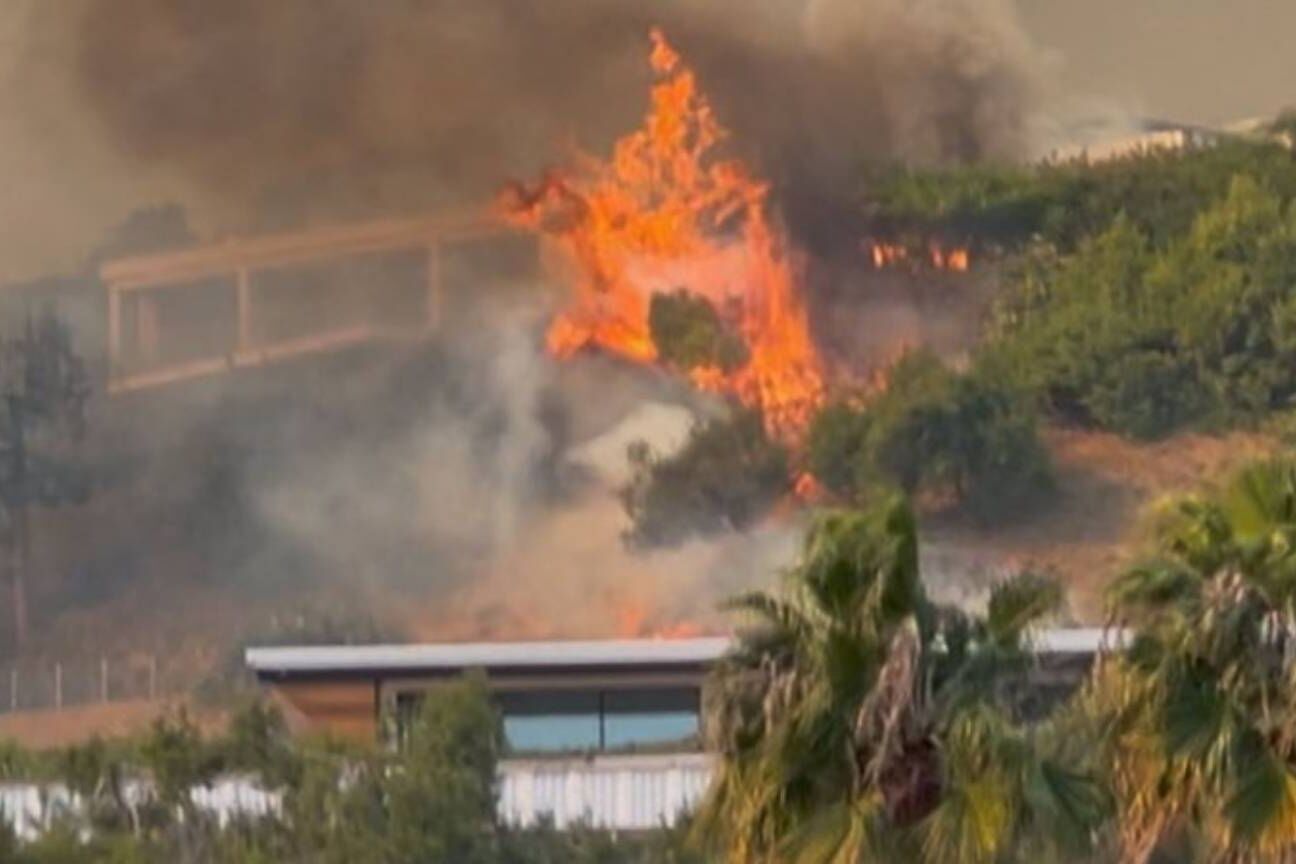 Incêndio atinge Pacific Palisades e força evacuação de moradores e celebridades em Los Angeles