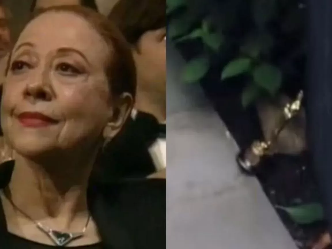 Gwyneth Paltrow usa Oscar como peso de porta, e brasileiros relembram derrota de Fernanda Montenegro