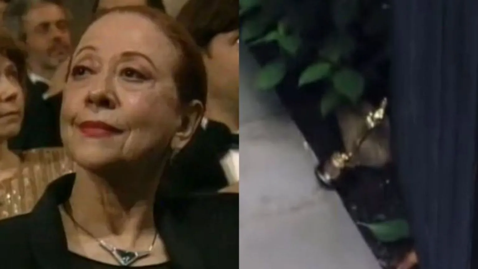 Gwyneth Paltrow usa Oscar como peso de porta, e brasileiros relembram derrota de Fernanda Montenegro