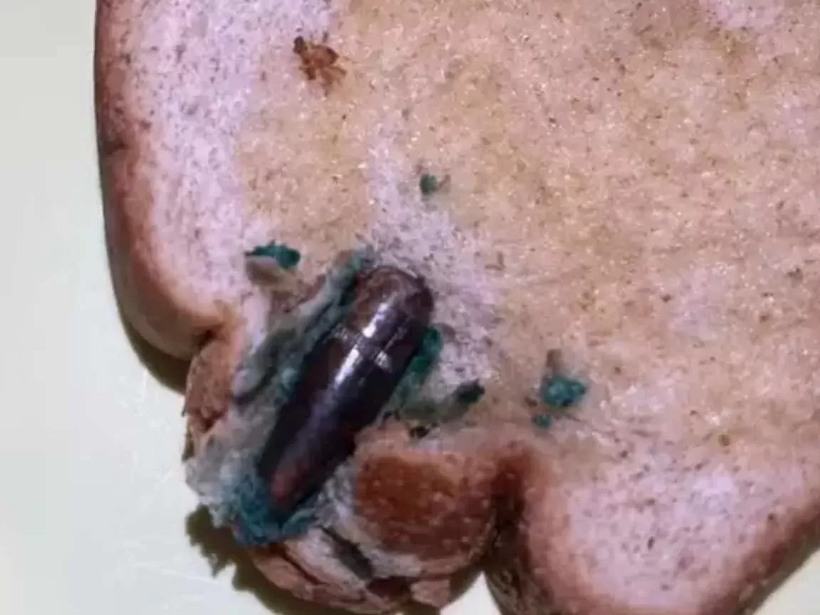 Mulher encontra projétil de fuzil dentro de pão de forma no Rio de Janeiro