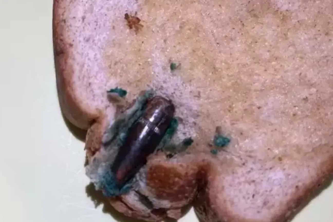 Mulher encontra projétil de fuzil dentro de pão de forma no Rio de Janeiro