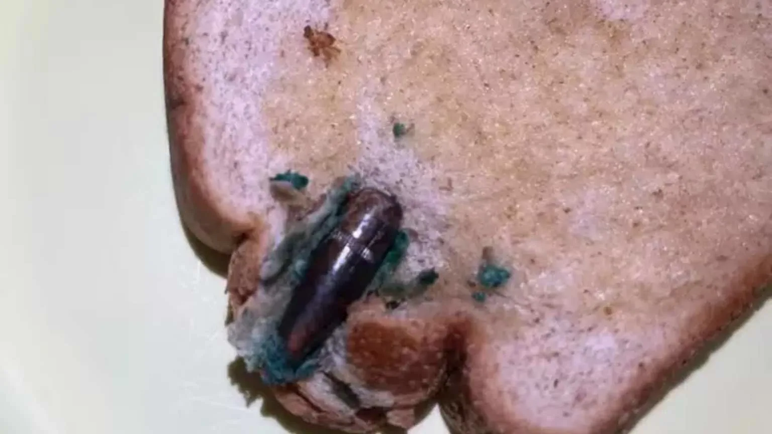 Mulher encontra projétil de fuzil dentro de pão de forma no Rio de Janeiro