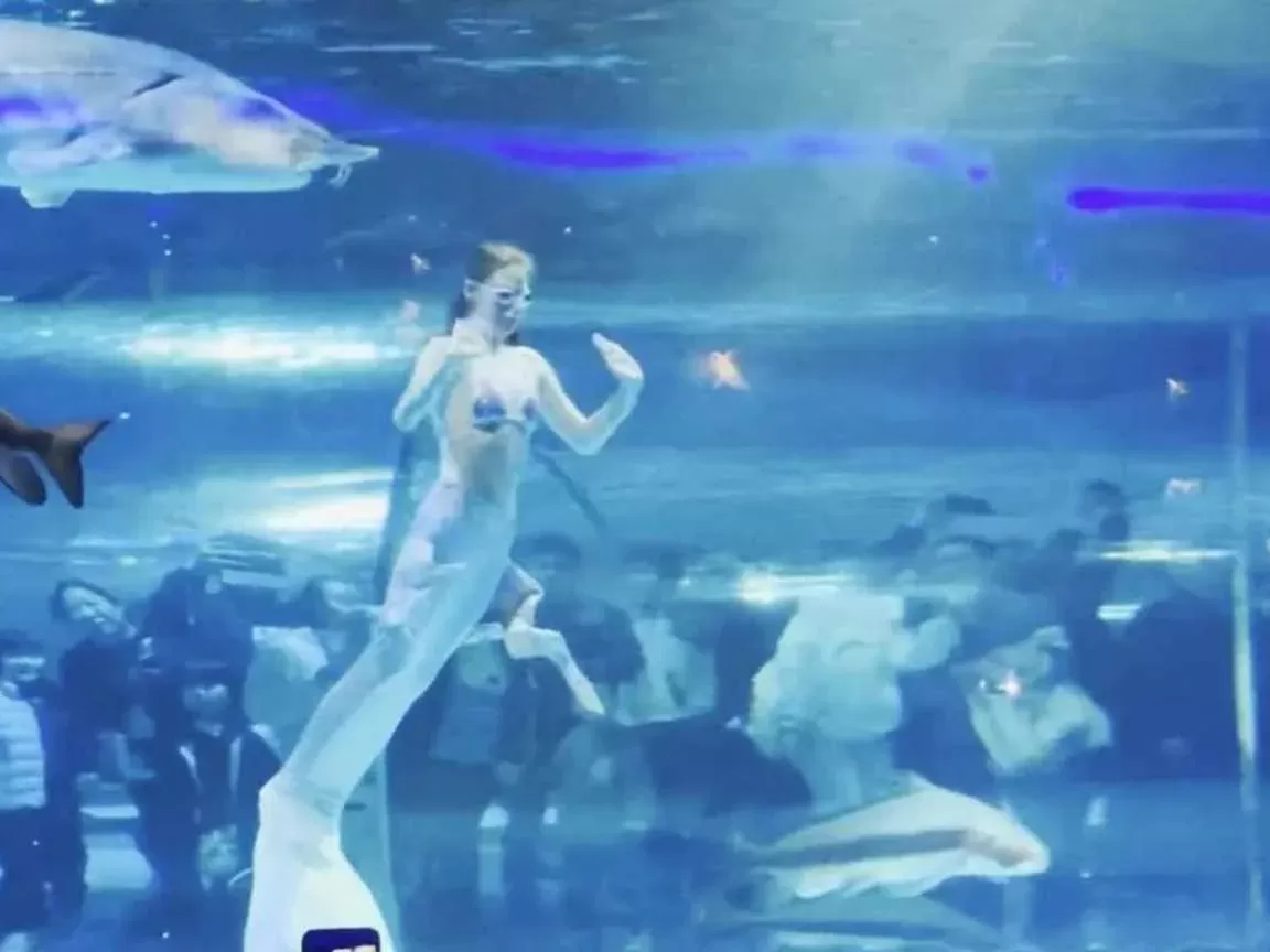 Sereia é atacada por peixe gigante durante show na China e vídeo viraliza