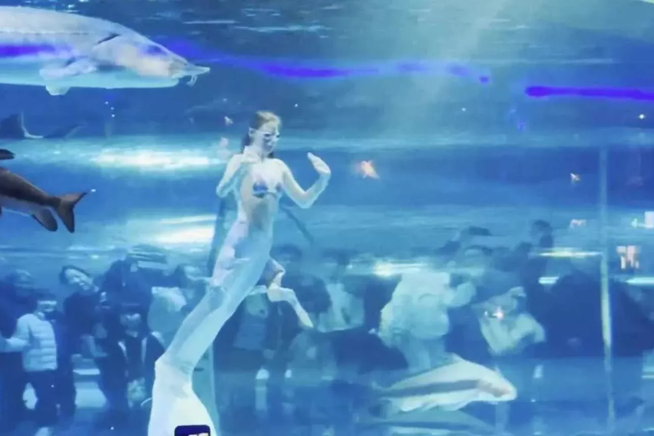 Sereia é atacada por peixe gigante durante show na China e vídeo viraliza