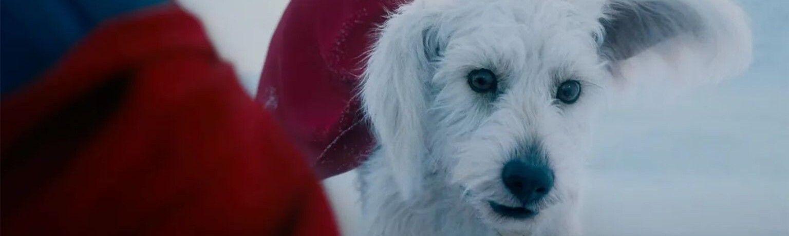 Superman: James Gunn revela novas cenas do filme após CinemaCon