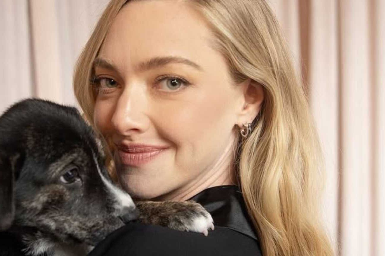 Amanda Seyfried esclarece polêmica após chamar Charlie Kirk de 'odioso'
