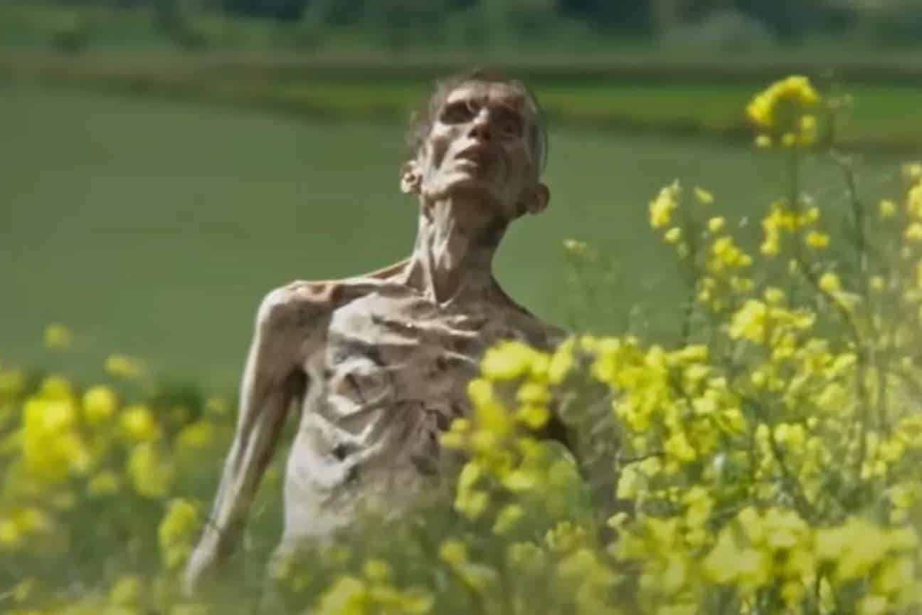 Cillian Murphy reage a sósia zumbi e confirma retorno em novo 'Extermínio'