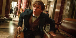 Cena de Animais Fantásticos - Foto: Warner Bros