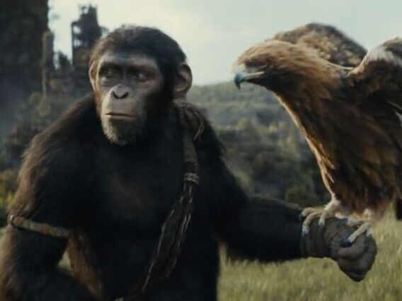 Diretor de novo Planeta dos Macacos já pensa em sequências após O Reinado