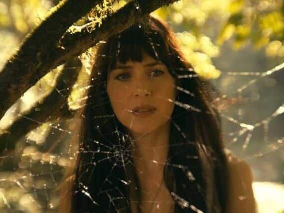 Madame Teia conquista topo da bilheteria brasileira