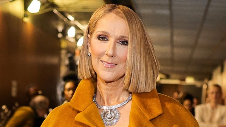 Céline Dion - Foto: Reprodução / Instagram @celinedion