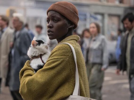 O gato morre em Um Lugar Silencioso: Dia Um?