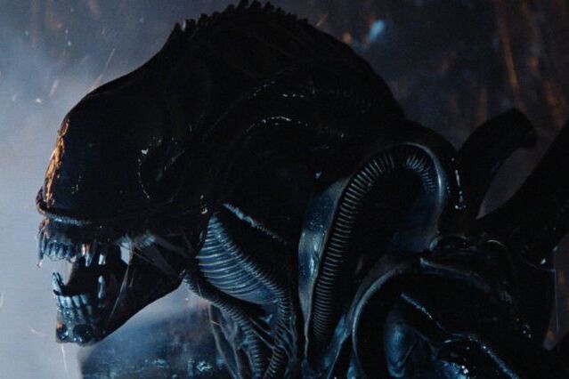 Ridley Scott não ficou feliz com sequências de Alien e Blade Runner