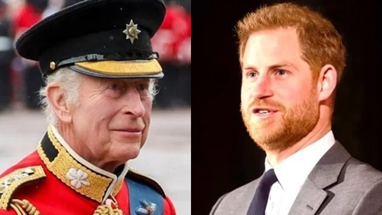 rei Charles III e o príncipe Harry - Foto: Reprodução / Instagram @theroyalfamily @sussexroyal
