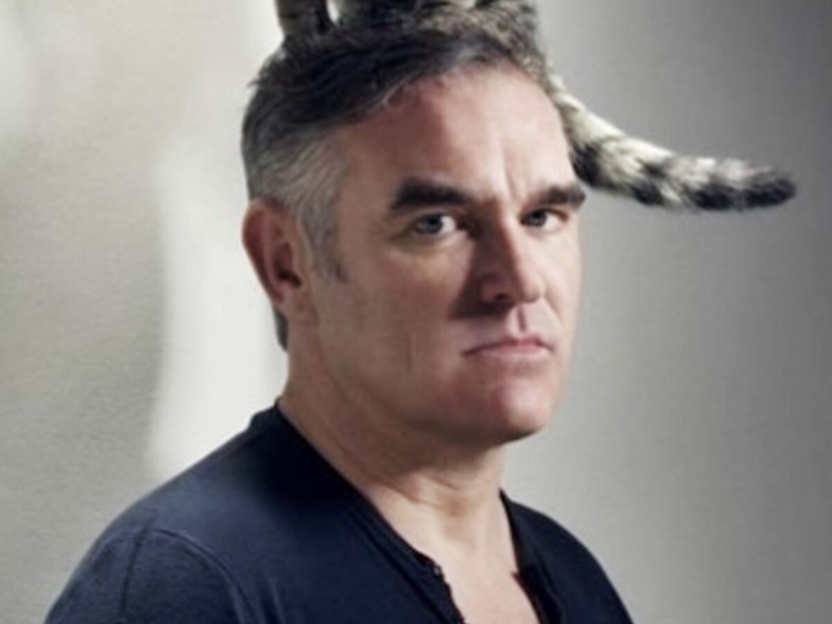 Morrisey - Foto: Reprodução / Instagram @morrisseyofficial