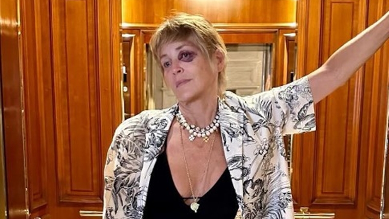 Sharon Stone - Foto: Reprodução / Instagram @sharonstone