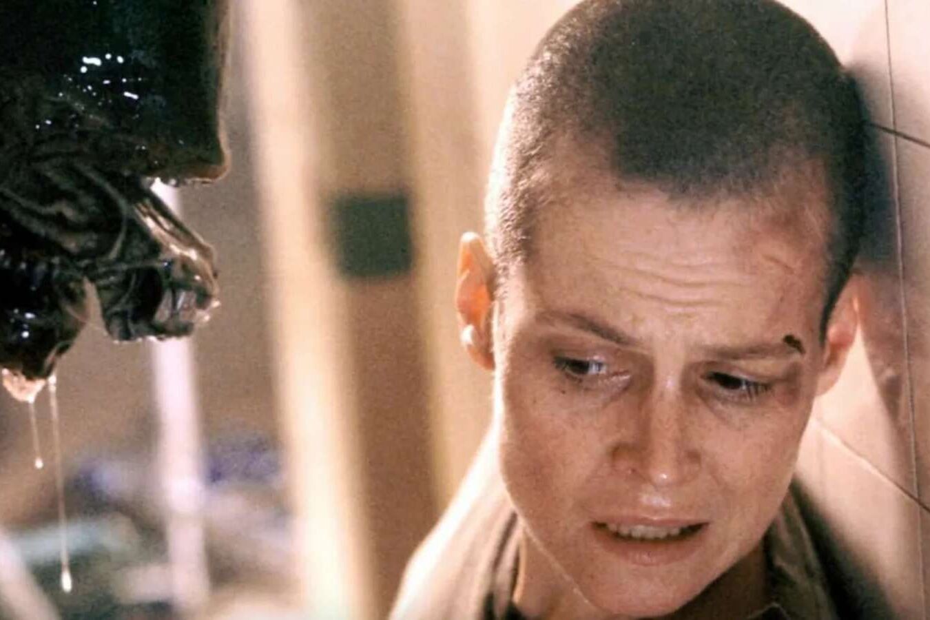 'Fox foi estúpida em não acreditar na visão de Fincher', diz Sigourney Weaver sobre Alien 3