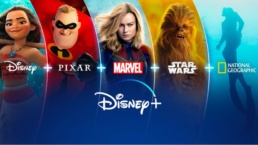 Disney tenta fugir de processo homicídio culposo por causa de termos da Disney+