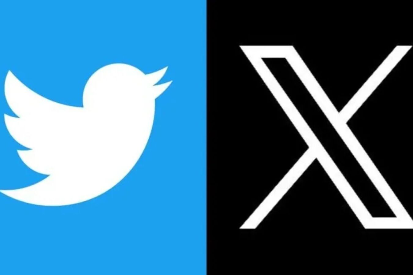 X (Twitter) dribla bloqueio da Anatel e volta a funcionar no Brasil