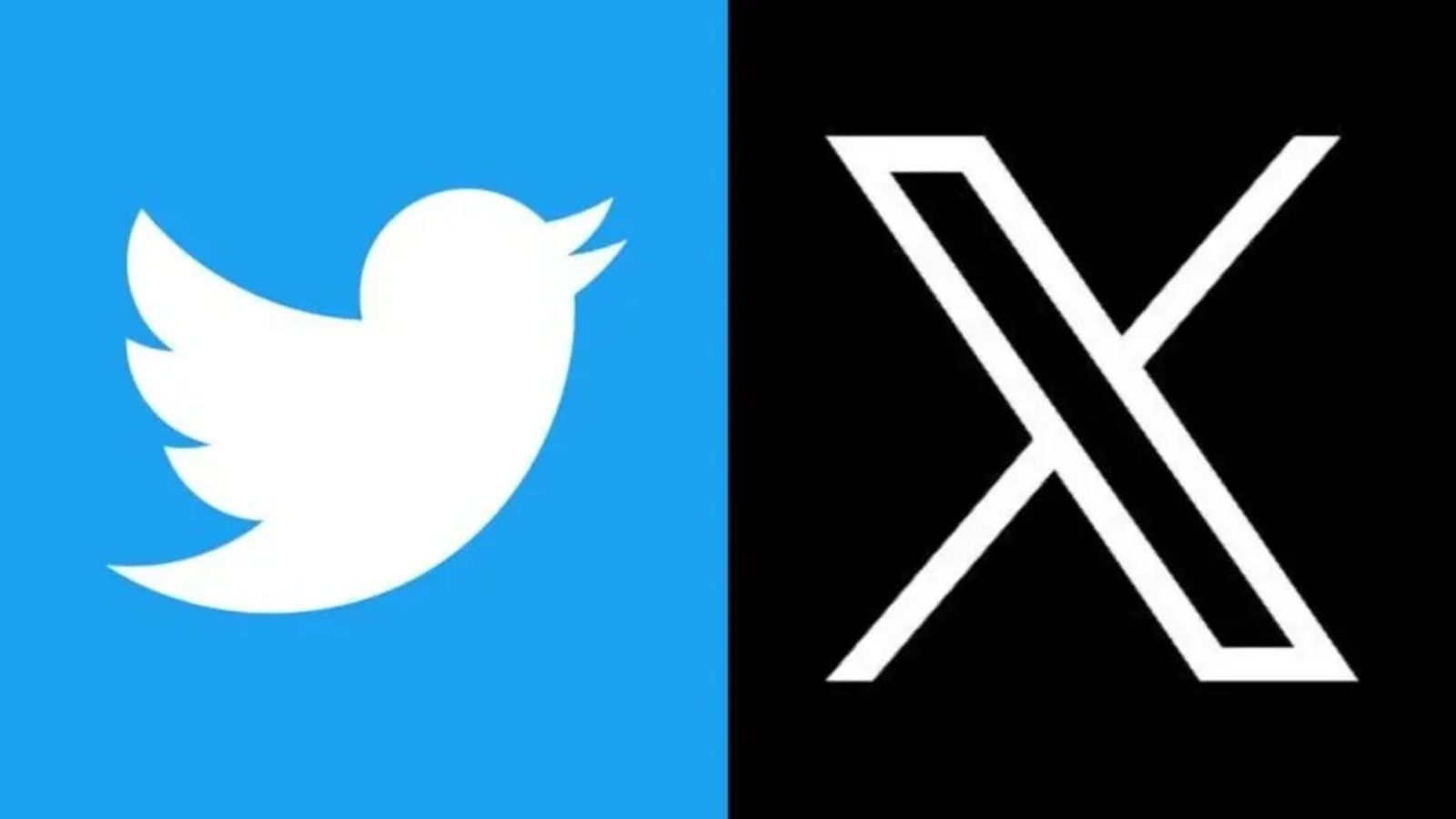 X (Twitter) dribla bloqueio da Anatel e volta a funcionar no Brasil