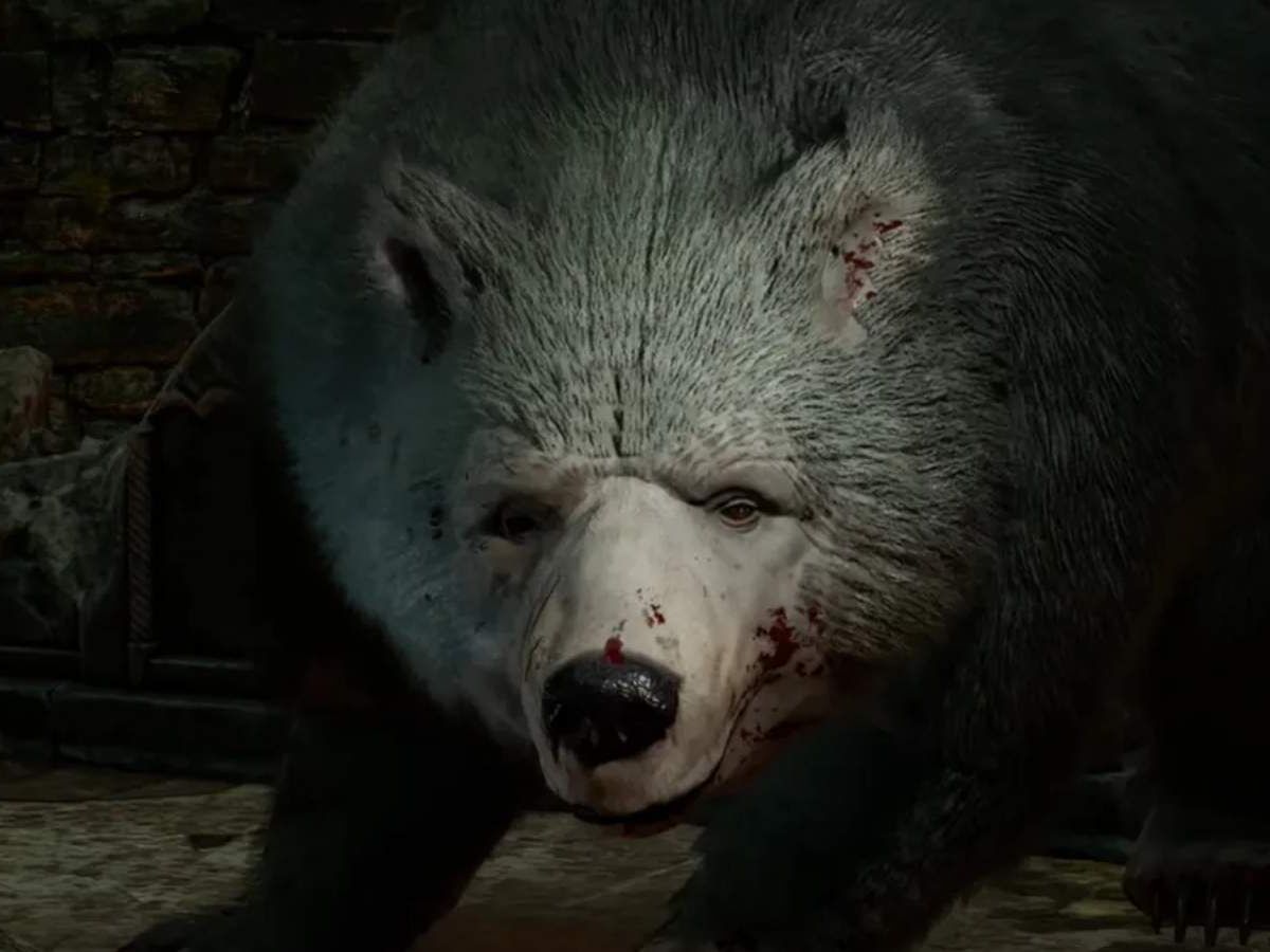 Cena erótica com urso popularizou Baldur's Gate 3, diz Larian