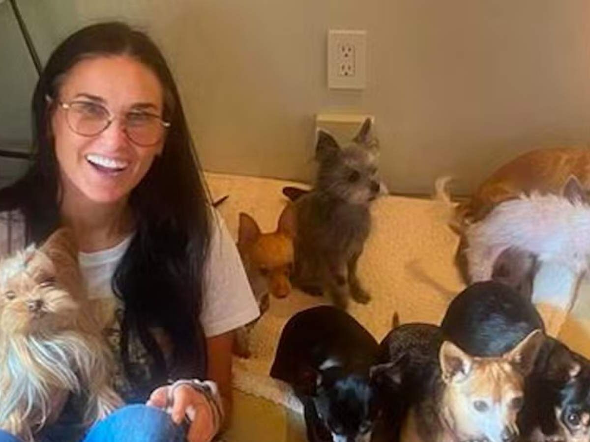 Demi Moore revela motivo de não ter namorado após 11 anos de divórcio
