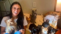 Demi Moore revela motivo de não ter namorado após 11 anos de divórcio