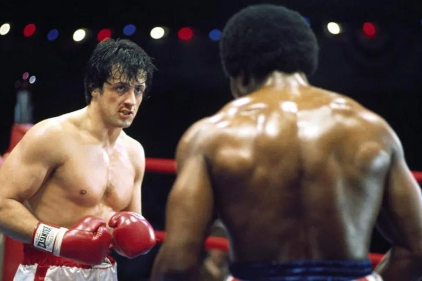 Sylvester Stallone está escrevendo prequel de Rocky