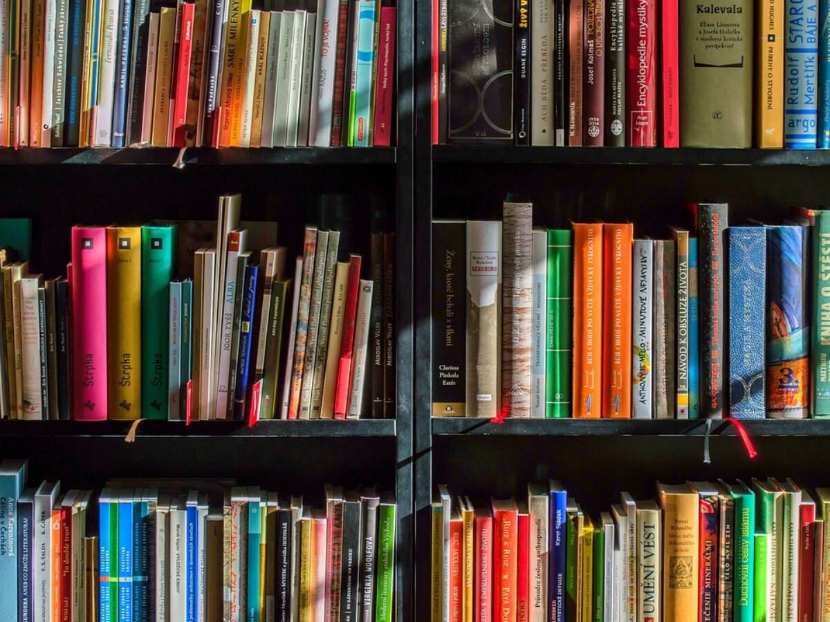 Conheça obras nacionais no Dia Nacional do Livro - Foto: Pixabay