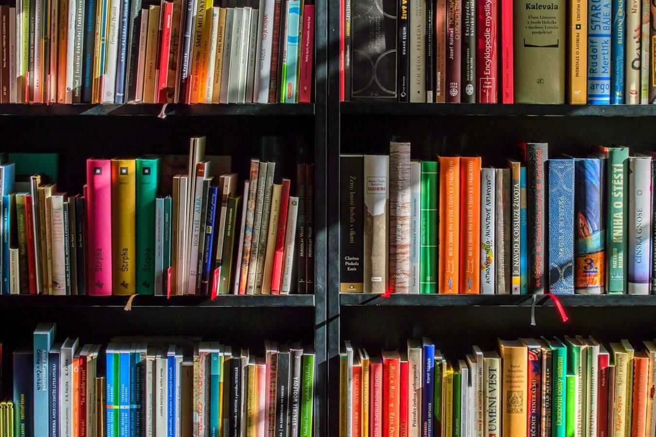 Conheça obras nacionais no Dia Nacional do Livro - Foto: Pixabay