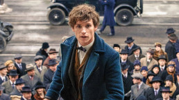 Eddie Redmayne como Newt Scamander - Foto: Warner Bros.