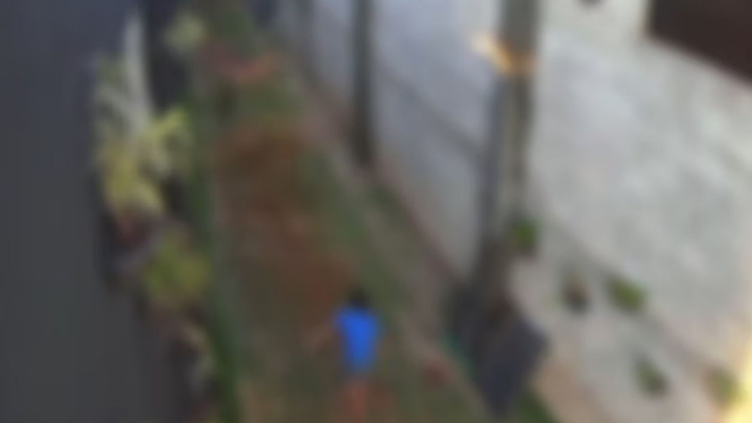 Massacre de animais cometidos por garoto de 9 anos não será punido