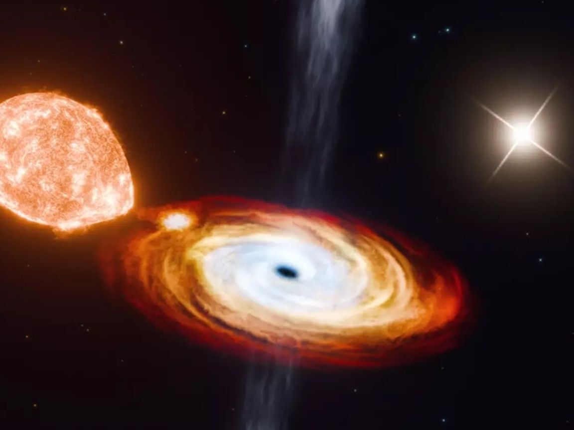 Cientistas descobrem primeiro