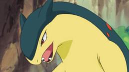 História bizarra envolvendo Typhlosion é descoberta nos vazamentos de Pokémon