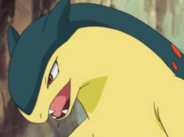 História bizarra envolvendo Typhlosion é descoberta nos vazamentos de Pokémon