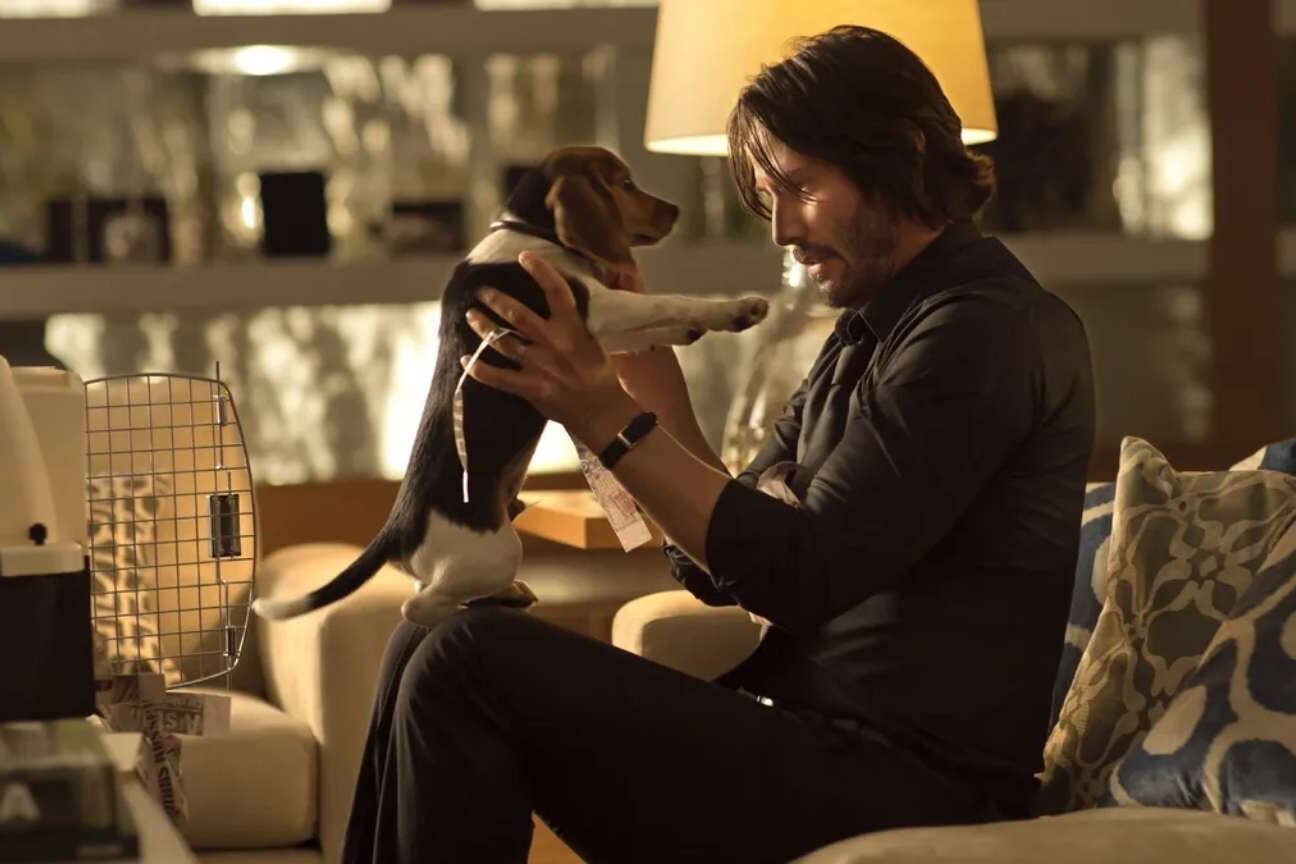 Keanu Reeves impediu final alternativo de John Wick que cachorro sobrevivia