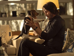 Keanu Reeves impediu final alternativo de John Wick que cachorro sobrevivia