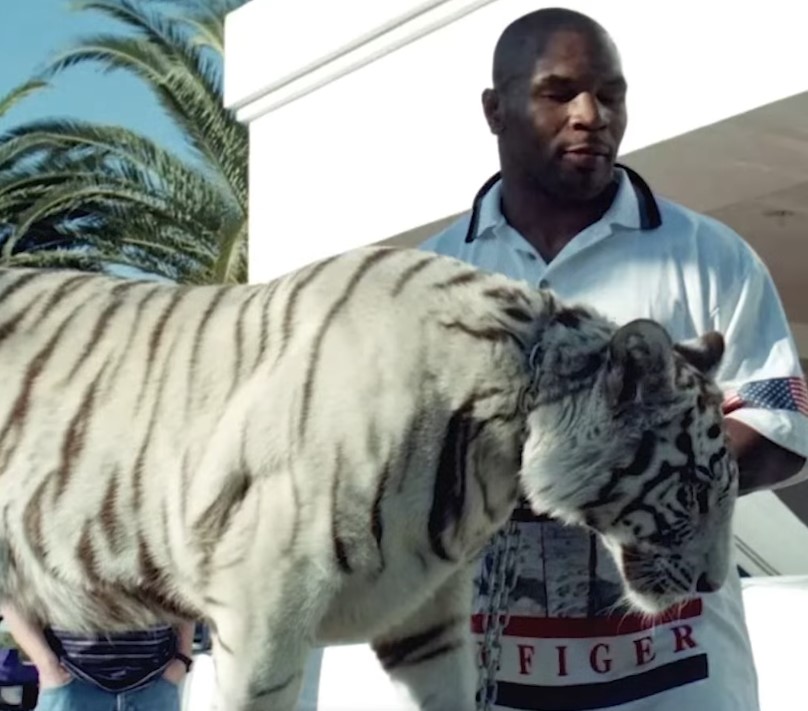 Foto: Reprodução / Instagram @miketyson
