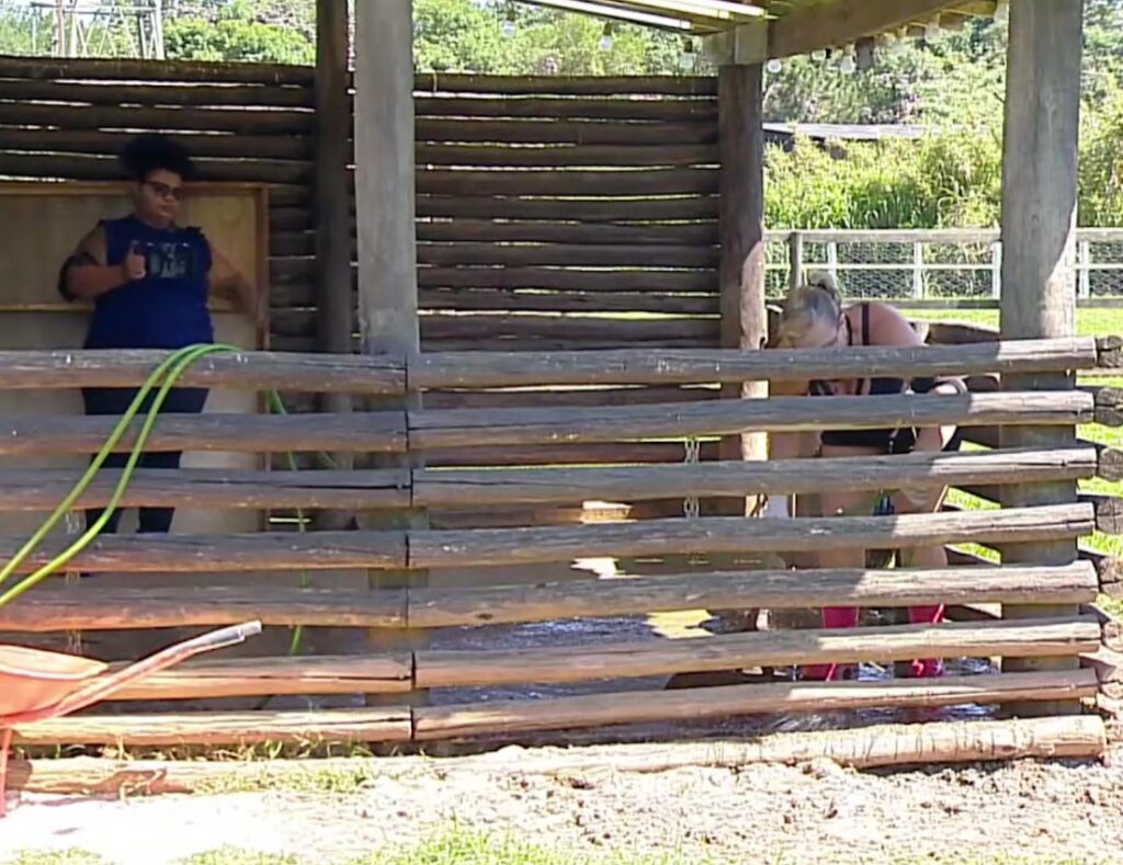 Foto: Reprodução / Record
