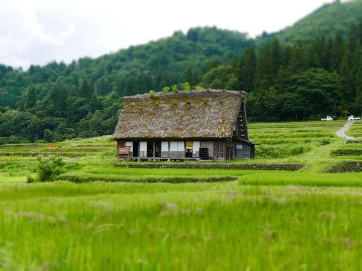 Akiyas: o fenômeno das casas abandonadas no Japão e os desafios para investidores