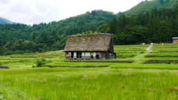 Akiyas: o fenômeno das casas abandonadas no Japão e os desafios para investidores