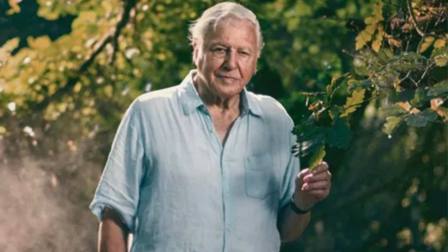 David Attenborough critica uso não autorizado de sua voz por IA