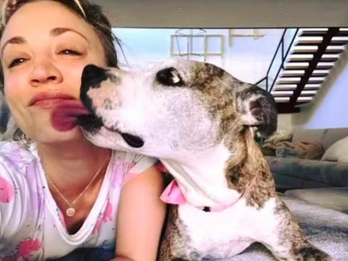 Kaley Cuoco enfrenta críticas após revelar que doou sua cachorra idosa