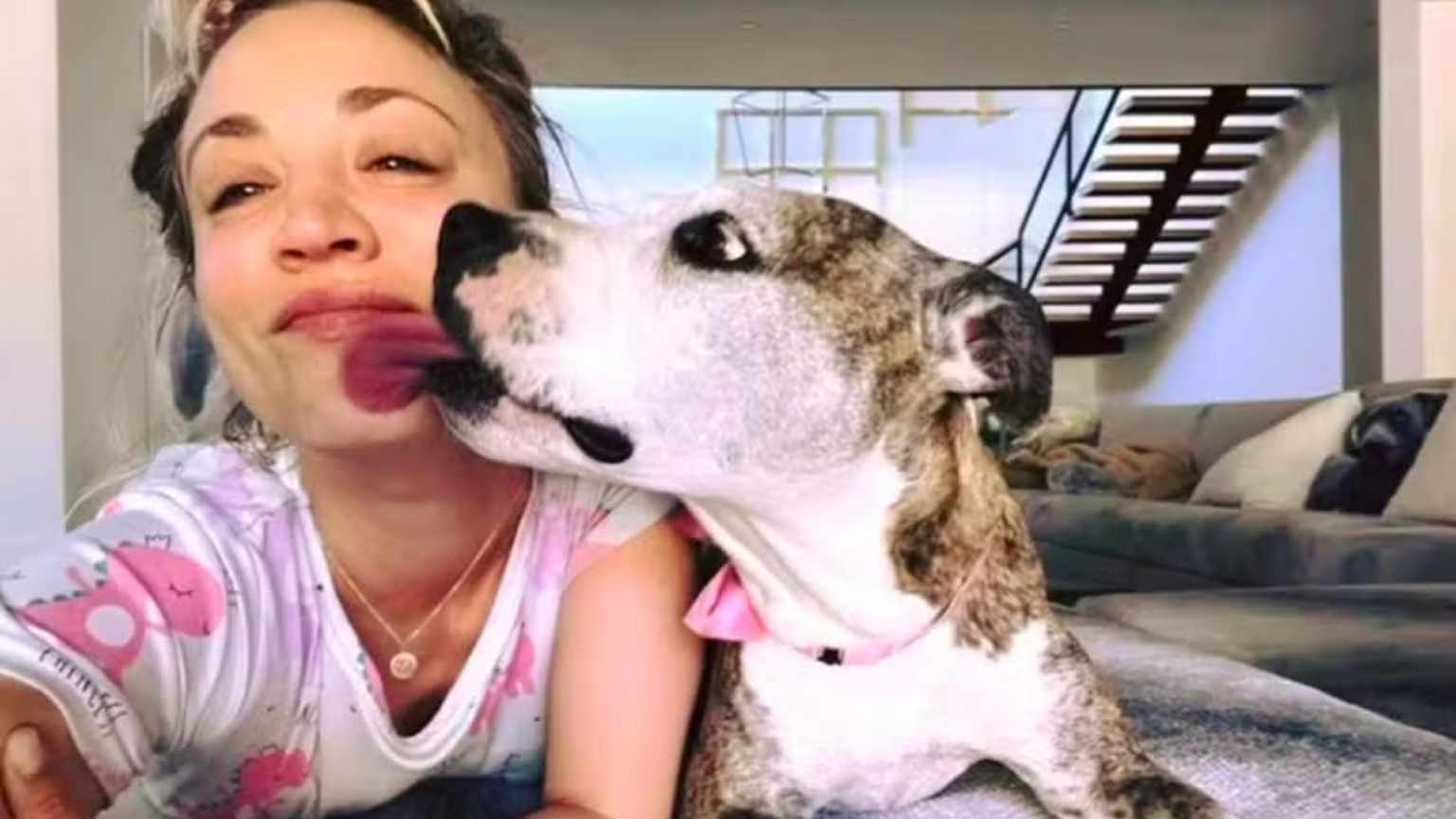 Kaley Cuoco enfrenta críticas após revelar que doou sua cachorra idosa