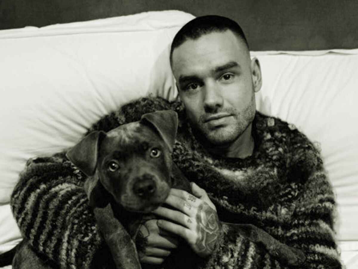Liam Payne - Foto: Reprodução / Instagram @liampayne